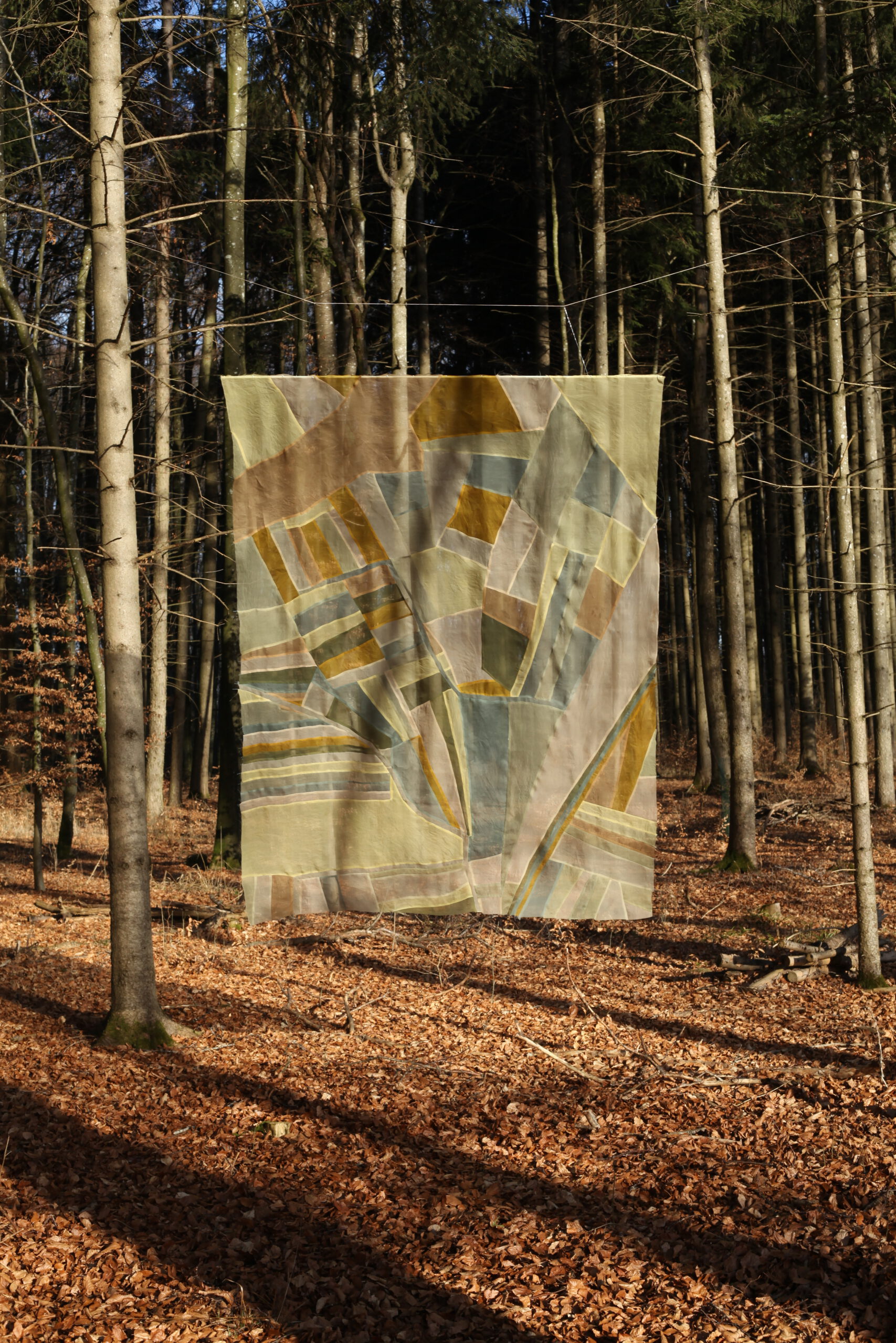 GeoChromaticParcel_woods2